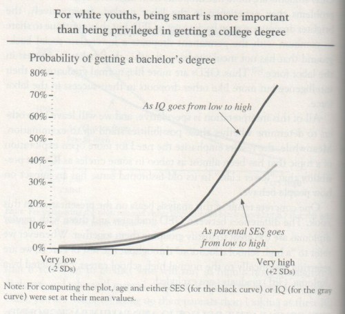 The Bell Curve, 1994, Herrnstein and Murray (graph p. 152)